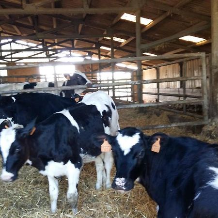 Charmante Maison A La Ferme Valderies Dış mekan fotoğraf