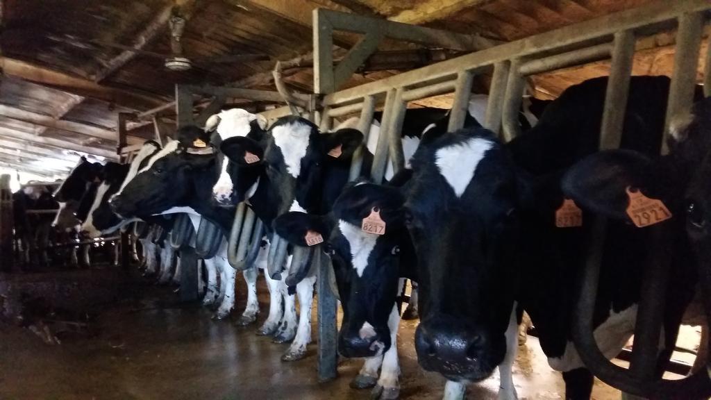 Charmante Maison A La Ferme Valderies Dış mekan fotoğraf