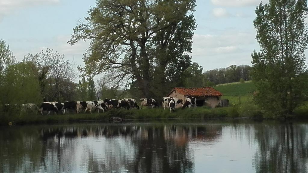 Charmante Maison A La Ferme Valderies Dış mekan fotoğraf