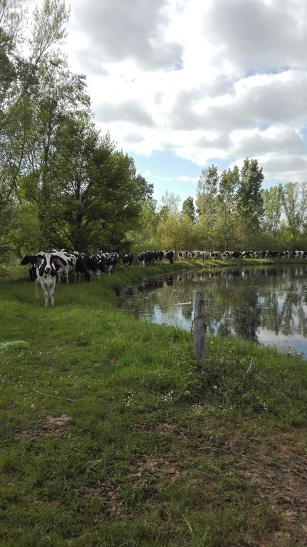Charmante Maison A La Ferme Valderies Dış mekan fotoğraf