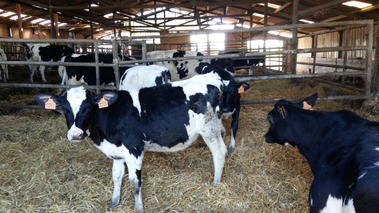 Charmante Maison A La Ferme Valderies Dış mekan fotoğraf